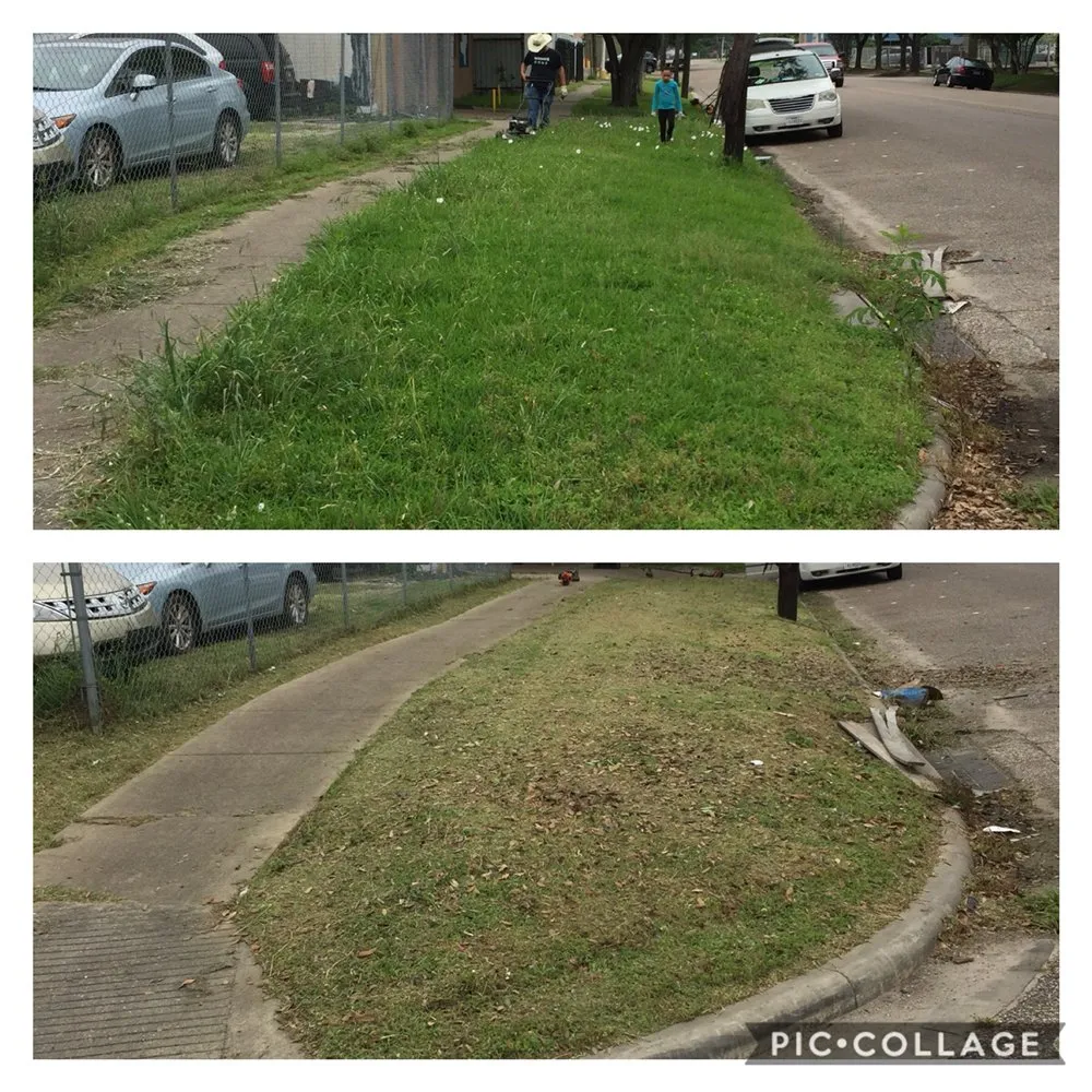 Custom yard cleanup service with custom design across Houston, TX - A&J Lawn And Car Wash Service