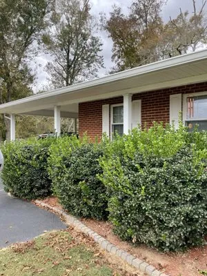 A&J Lawn and Landscape Logo