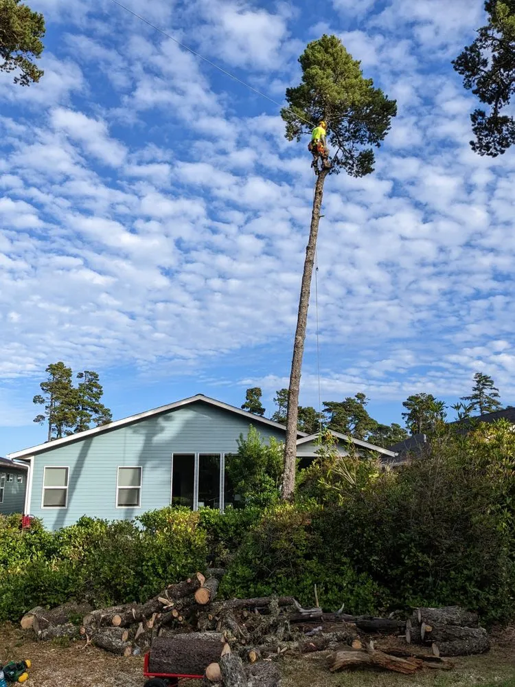 Local yard maintenance in Salem, OR - A&J Lawn And Tree Service