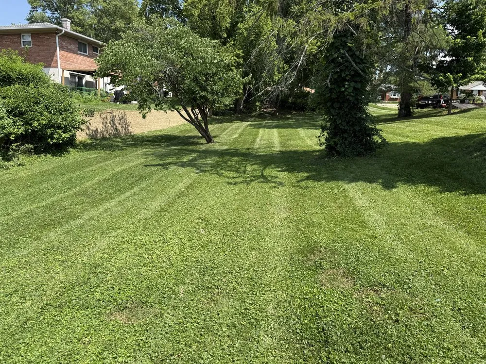 Top-rated landscape design experts serving Cincinnati, OH - A&J Lawn Care & Landscaping