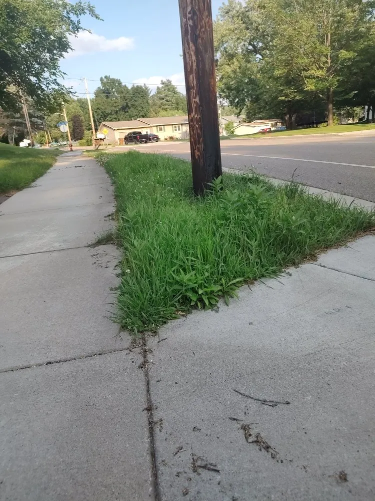 Trusted lawn mowing service experts serving Durand, WI - AJ Lawn Care