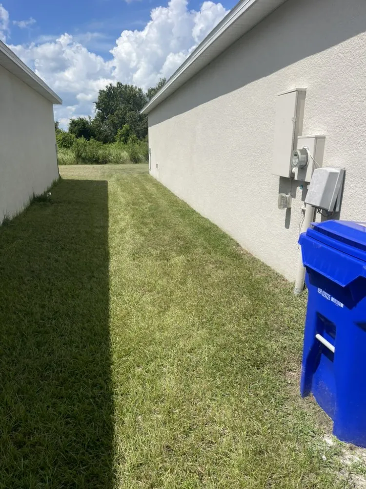 Top-rated yard cleanup service experts serving Mulberry, FL - A&J lawn care