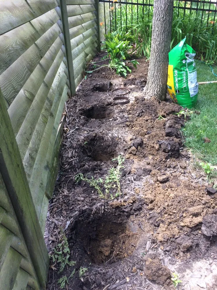 Professional landscape design in Perry, IA by Aj Lawn Care