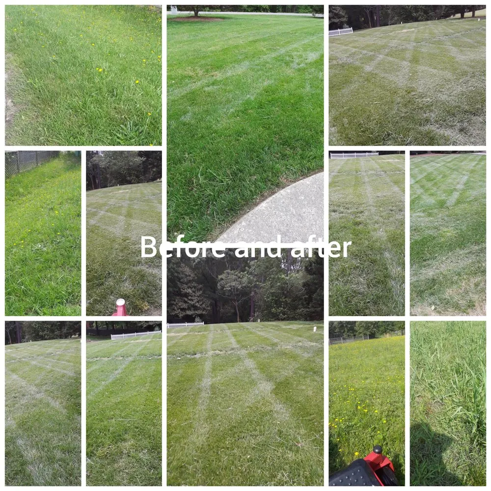 Top-rated landscaping services in Sanford, NC by AJ lawn care