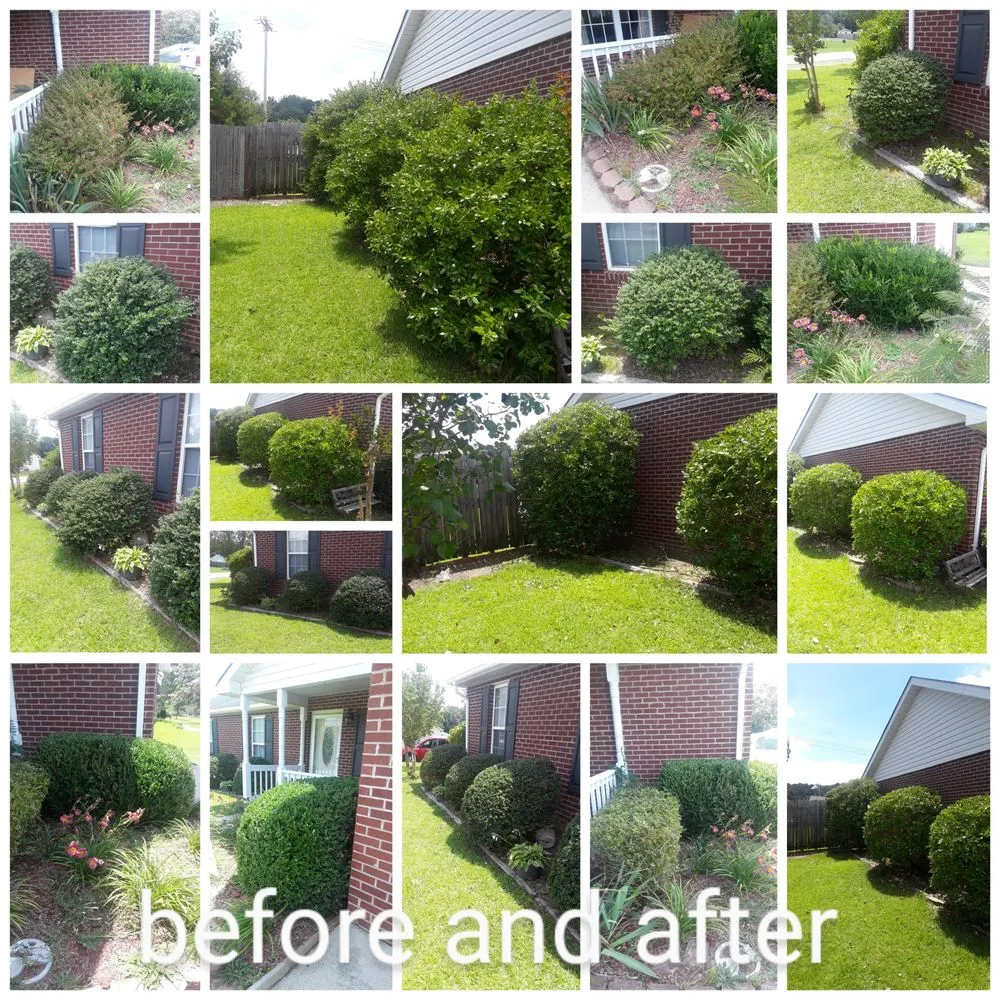 Top-rated landscape design experts serving Sanford, NC - AJ lawn care