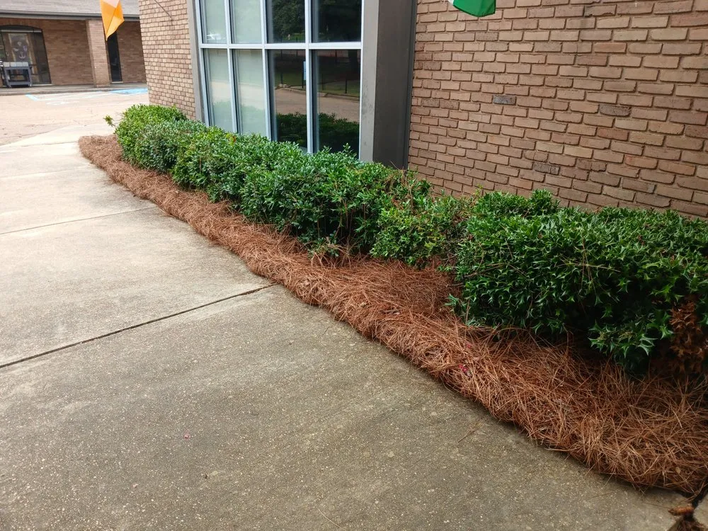 Reliable yard maintenance experts serving Jackson, MS - A&J Lawn care Service