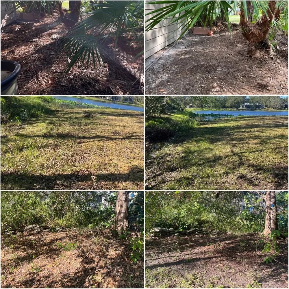 Affordable yard cleanup service experts serving Bradenton, FL - A&J Lawn Care Services