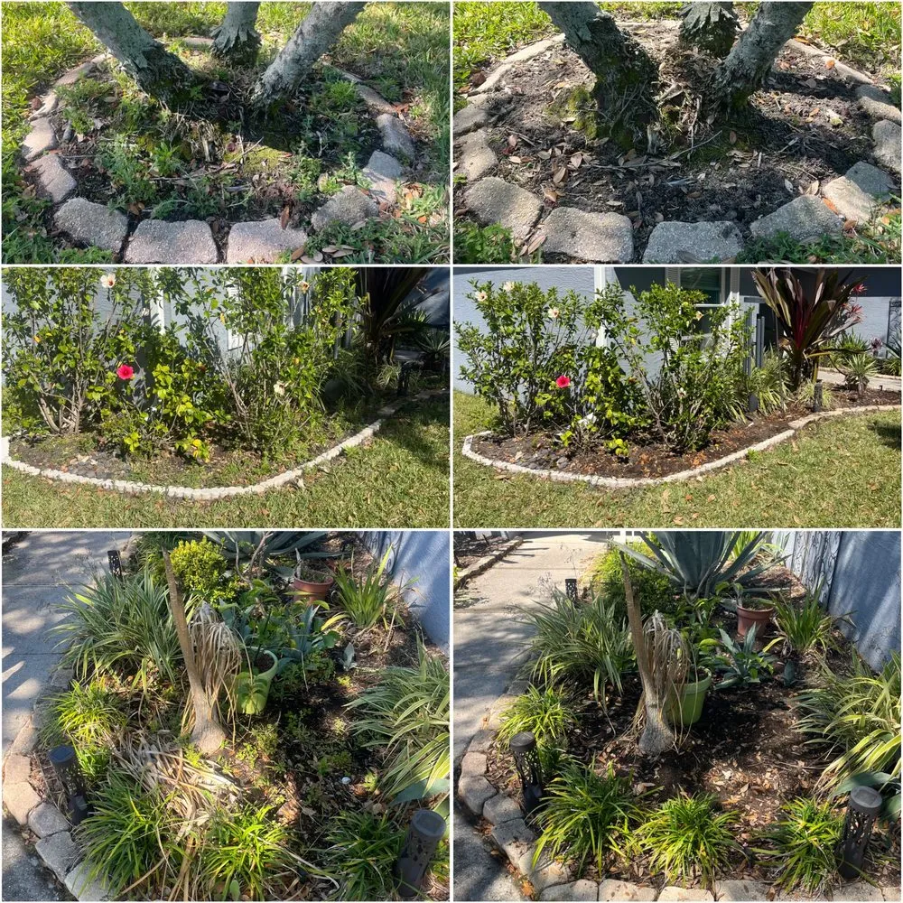 Affordable outdoor landscaping experts serving Bradenton, FL - A&J Lawn Care Services
