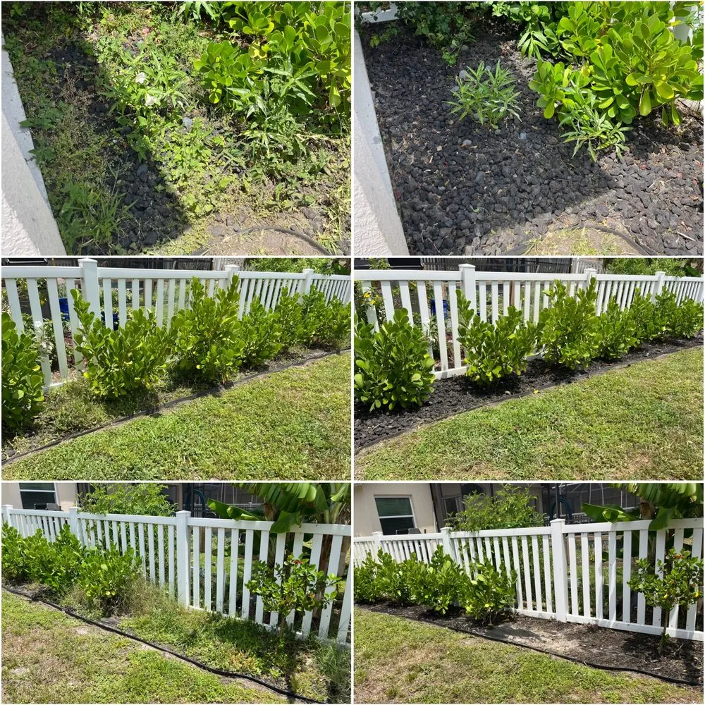 Affordable yard cleanup service in Bradenton, FL - A&J Lawn Care Services