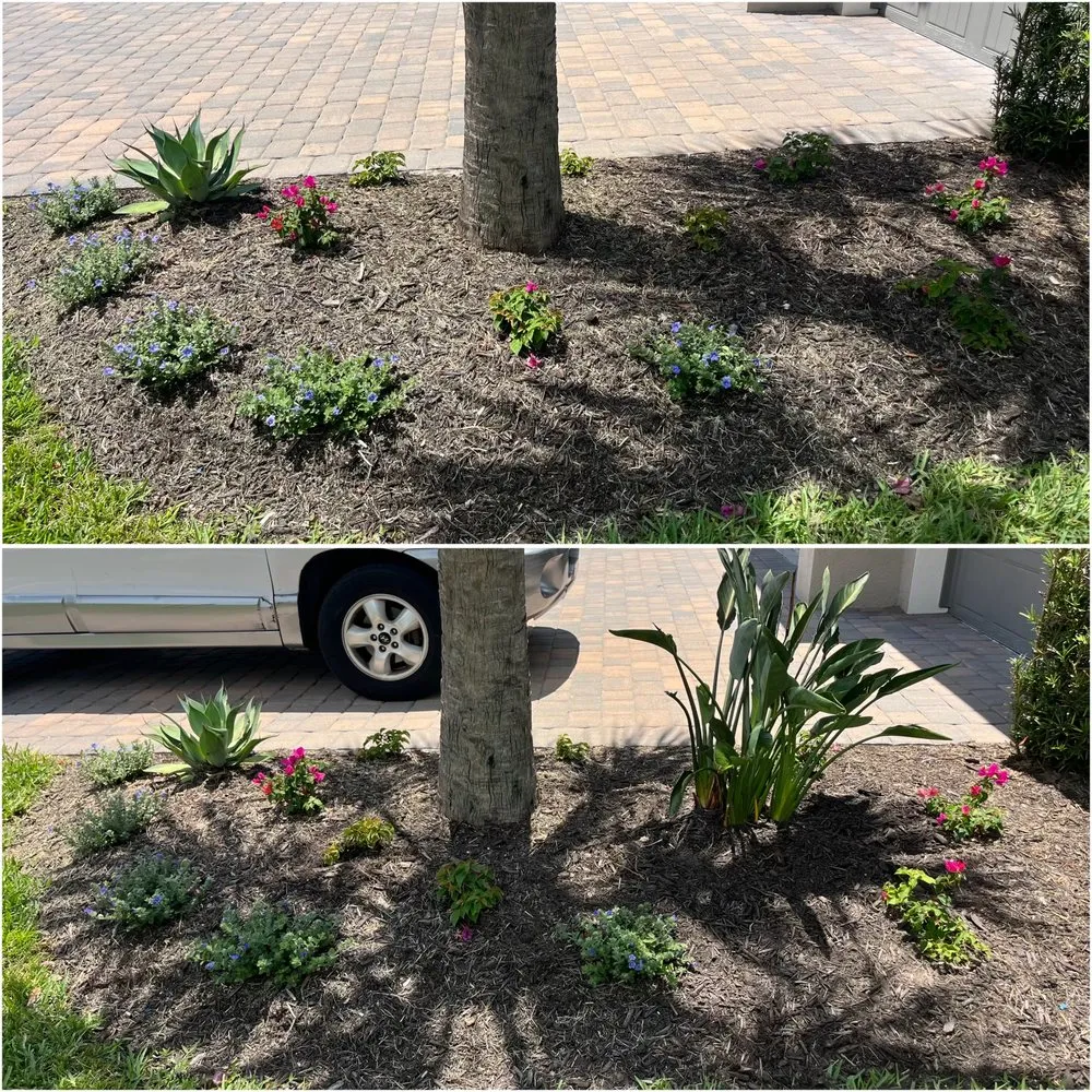 Affordable lawn mowing service near you across Bradenton, FL - A&J Lawn Care Services