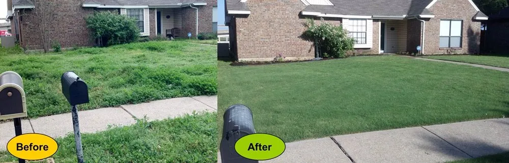 Top-rated landscape design near you in Dothan, AL by A&J Lawn Care Services