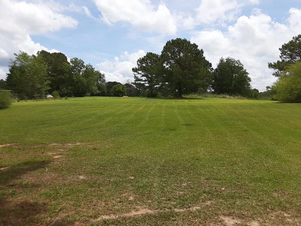 Expert yard cleanup service in Dothan, AL by A&J Lawn Care Services