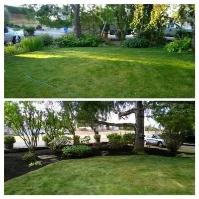 Professional yard cleanup service in Dothan, AL - A&J Lawn Care Services