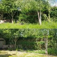 Expert outdoor landscaping experts serving Dothan, AL - A&J Lawn Care Services