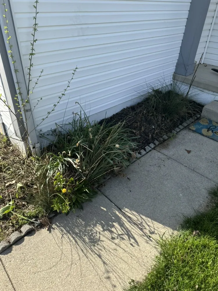 Local lawn care service in Columbus, OH by AJ Lawn Company