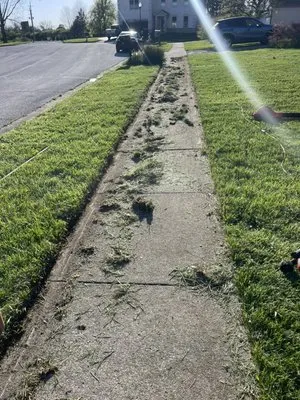 AJ Lawn Company Logo