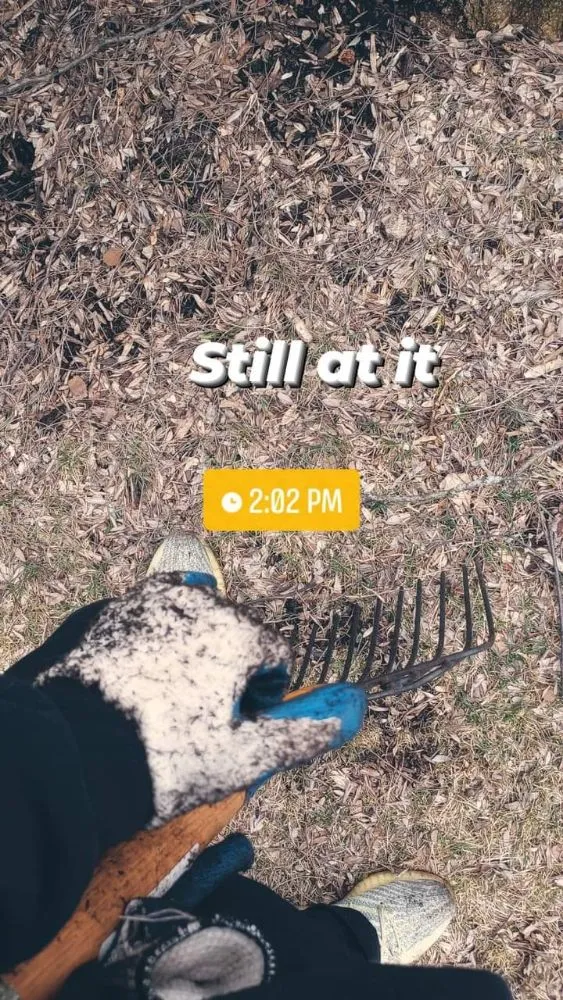 Affordable lawn mowing service in Milwaukee, WI - A&J Lawn maintenance