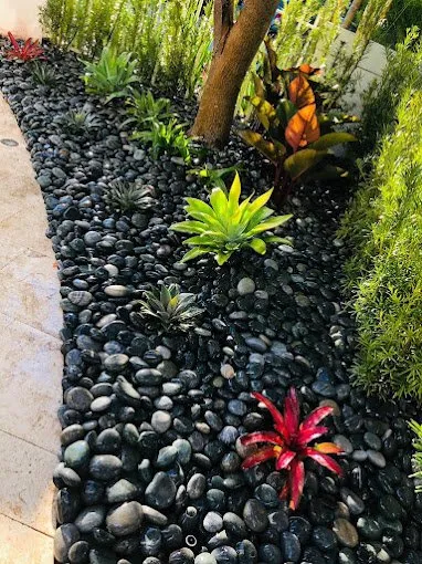 Expert yard cleanup service with custom design in Davie, FL by AJ Lawn Masters Landscaping