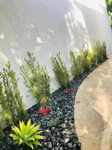 Professional lawn care service in Davie, FL by AJ Lawn Masters Landscaping