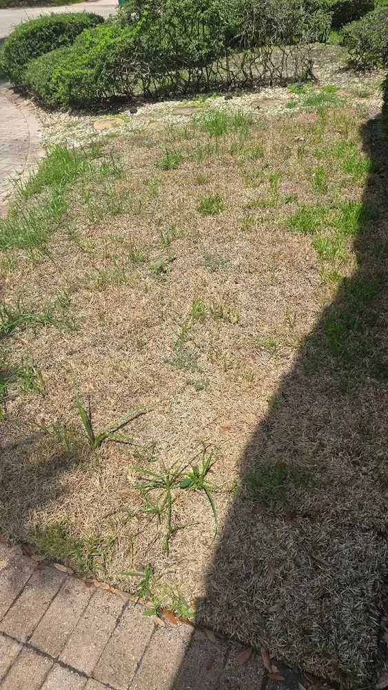 Top-rated garden landscaping with custom design across Davie, FL - AJ Lawn Masters Landscaping