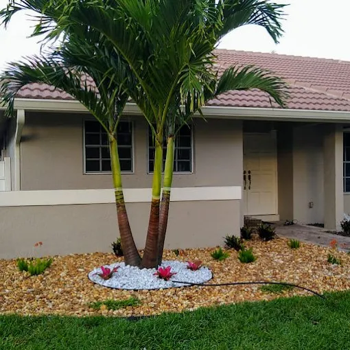 Professional landscaping services experts serving Davie, FL - AJ Lawn Masters Landscaping