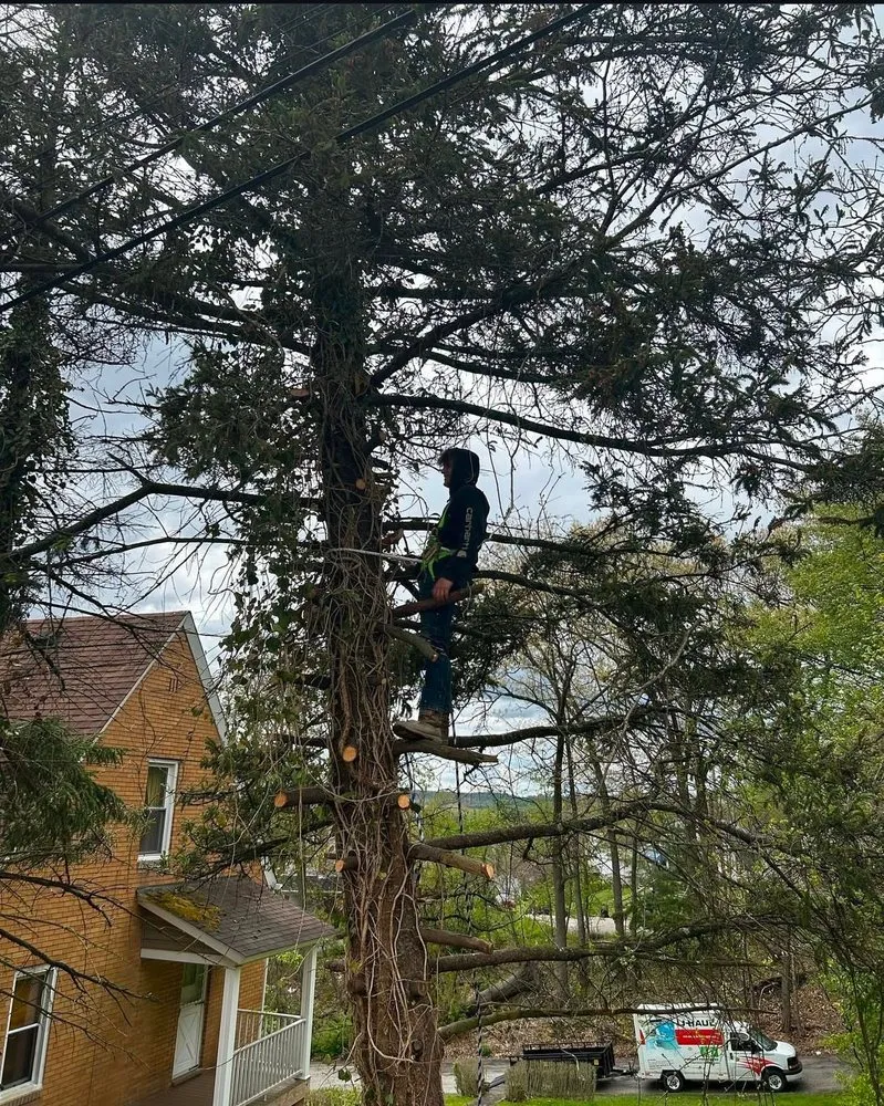 Top-rated residential landscaping for beautiful yards across Pittsburgh, PA - A&J Lawn Pros