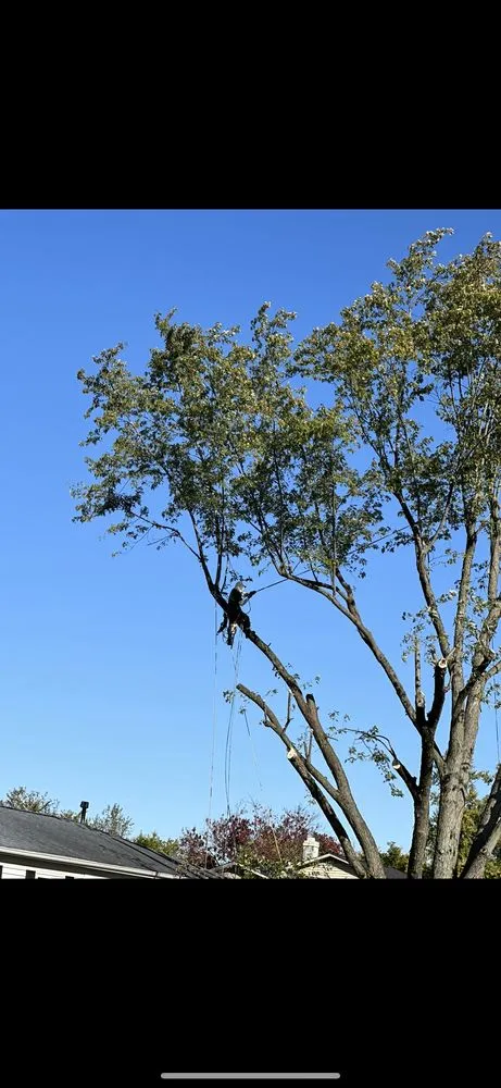 Professional residential landscaping for beautiful yards across Fort Wayne, IN - AJ Lawn Service