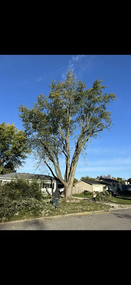 Custom yard maintenance experts serving Fort Wayne, IN - AJ Lawn Service