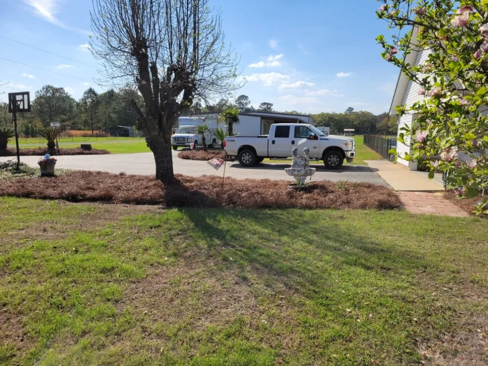 Custom landscaping services for year-round maintenance in Adel, GA by A&J Lawncare
