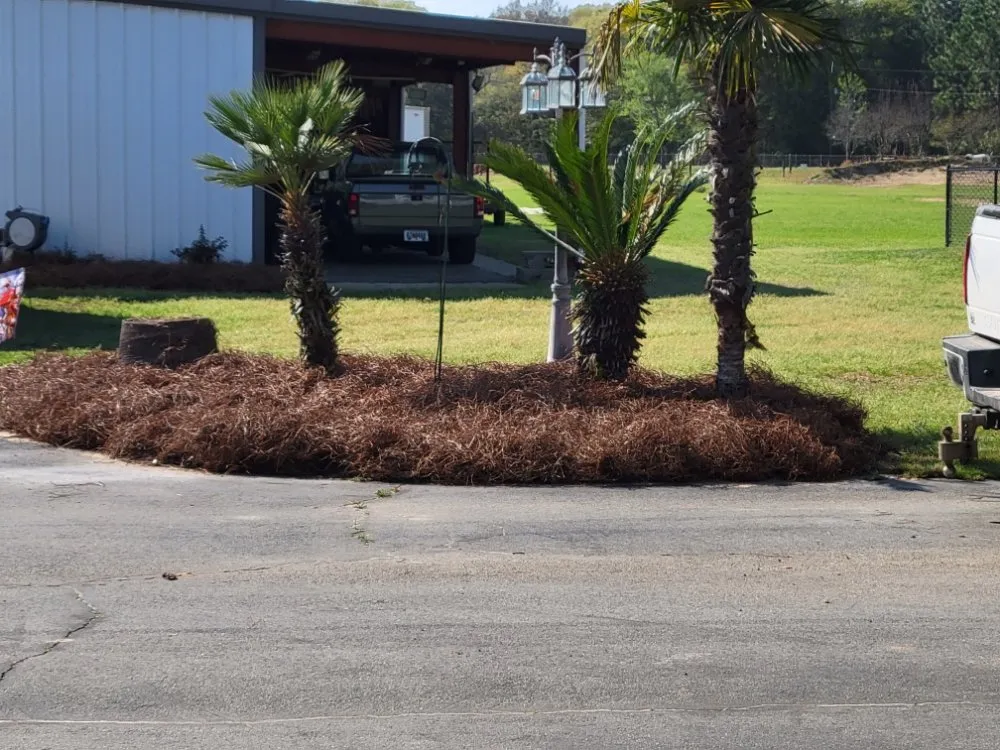 Reliable outdoor landscaping in Adel, GA by A&J Lawncare