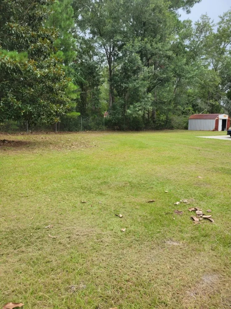 Custom landscape installation for residential properties in Adel, GA by A&J Lawncare