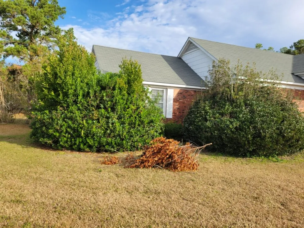 Affordable garden landscaping experts serving Adel, GA - A&J Lawncare