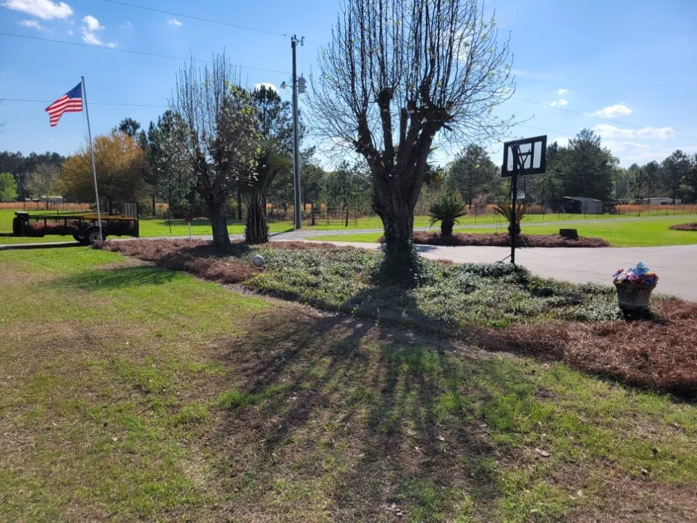 Professional lawn mowing service experts serving Adel, GA - A&J Lawncare