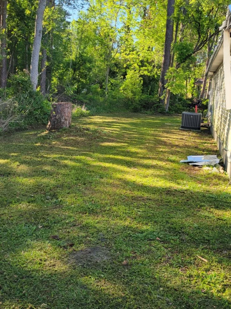 Expert landscape design experts serving Adel, GA - A&J Lawncare