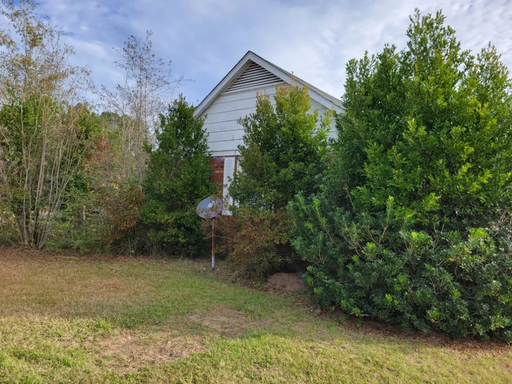 Professional yard cleanup service experts serving Adel, GA - A&J Lawncare