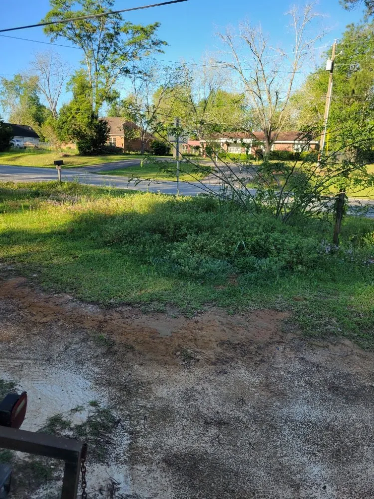 Local lawn care service experts serving Adel, GA - A&J Lawncare