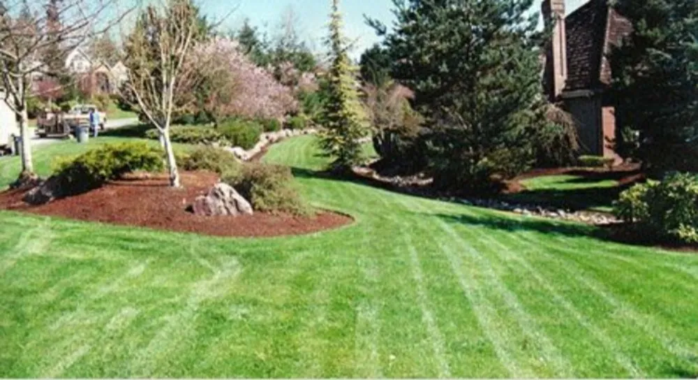Local lawn care service experts serving Athens, TN - A&J Lawncare and General Services