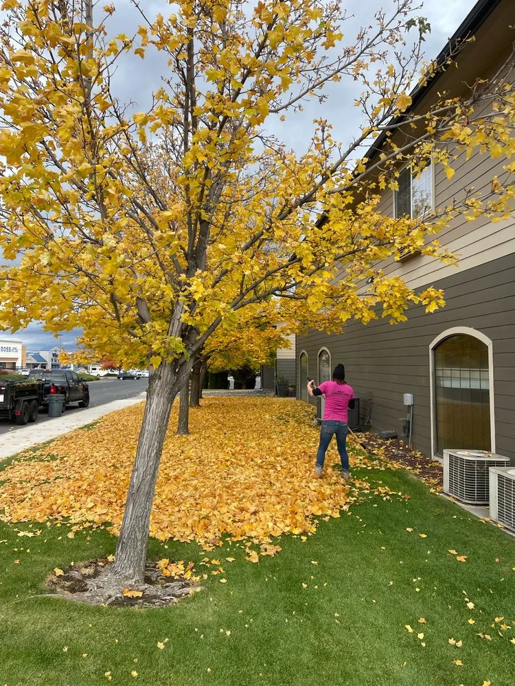 Professional lawn mowing service with custom design in Redmond, OR by A&J Lawncare