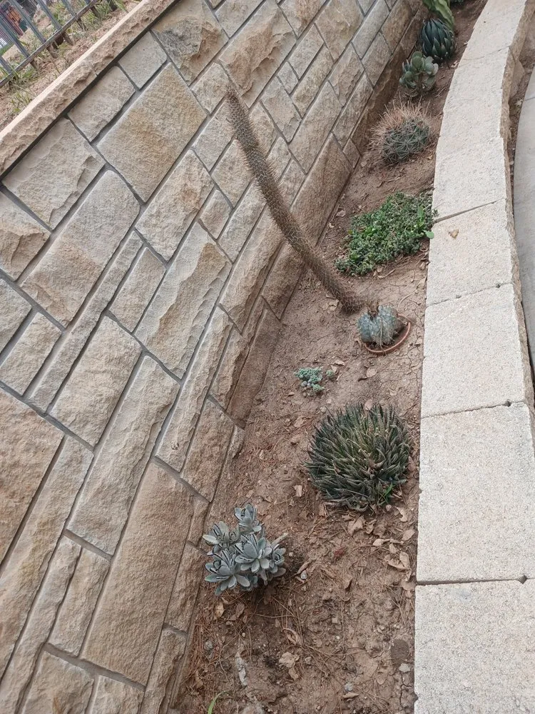 Top-rated residential landscaping for outdoor upgrades in Lubbock, TX by Aj Lawns