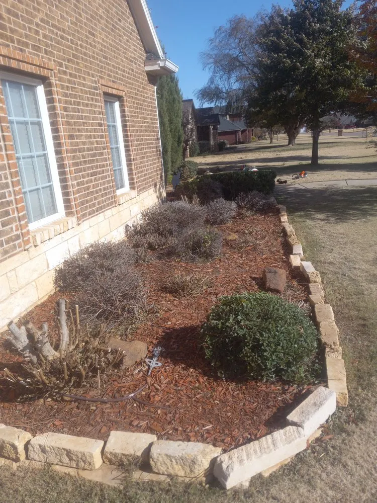 Local lawn care service experts serving Lubbock, TX - Aj Lawns