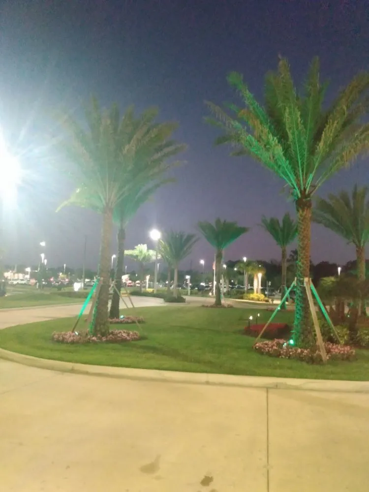 Reliable lawn care service experts serving Kissimmee, FL - AJ Mowmaster