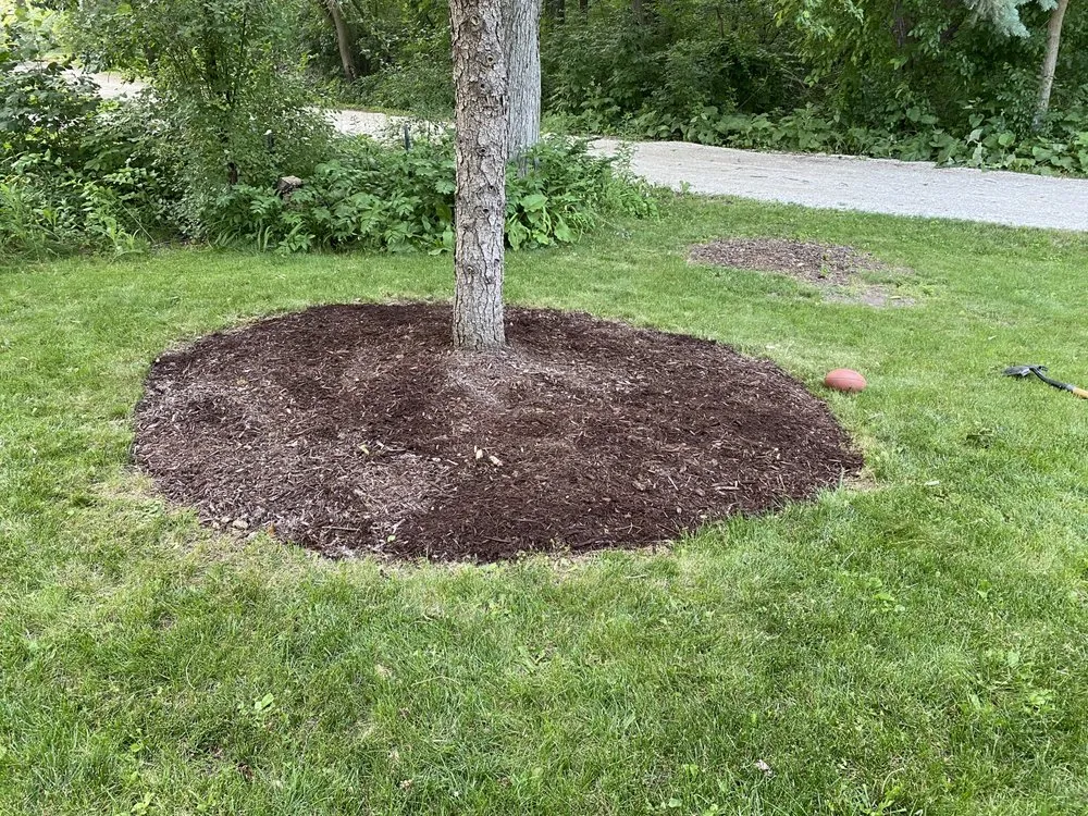 Affordable landscaping services experts serving Elkhorn, WI - AJ Outdoor Services