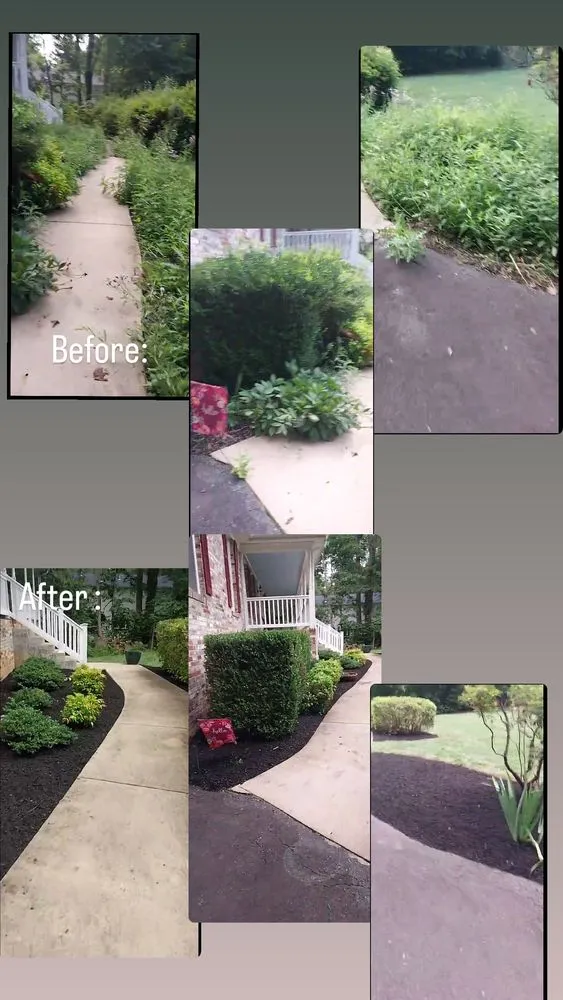Reliable lawn care service experts serving Bealeton, VA - AJ Outdoor Solution