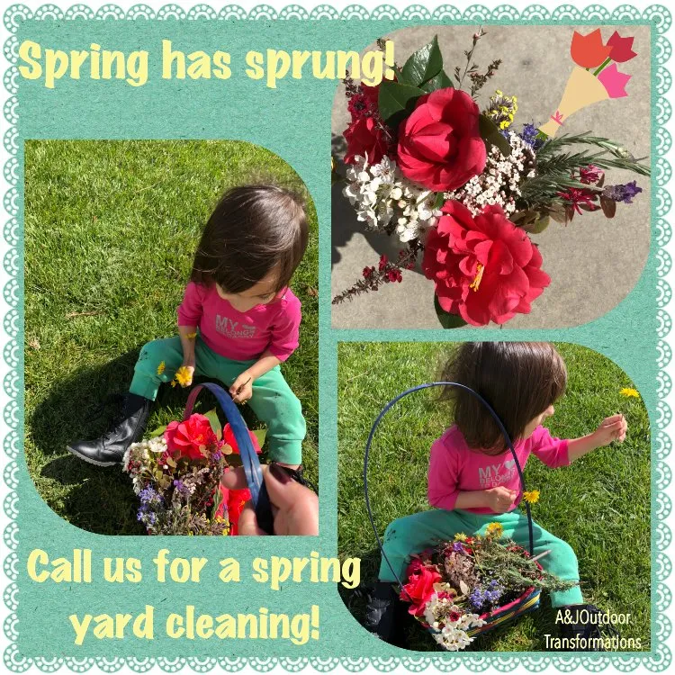 Top-rated outdoor landscaping experts serving Ione, CA - A&J Outdoor Transformations