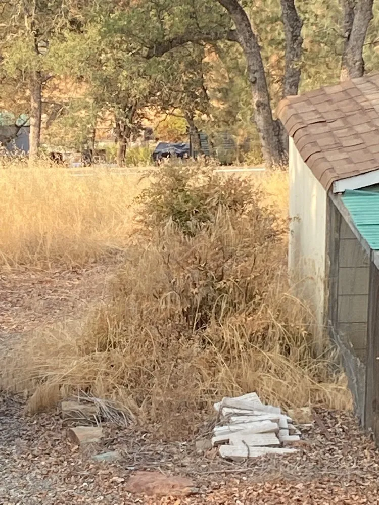 Top-rated landscape design for outdoor upgrades in Ione, CA by A&J Outdoor Transformations