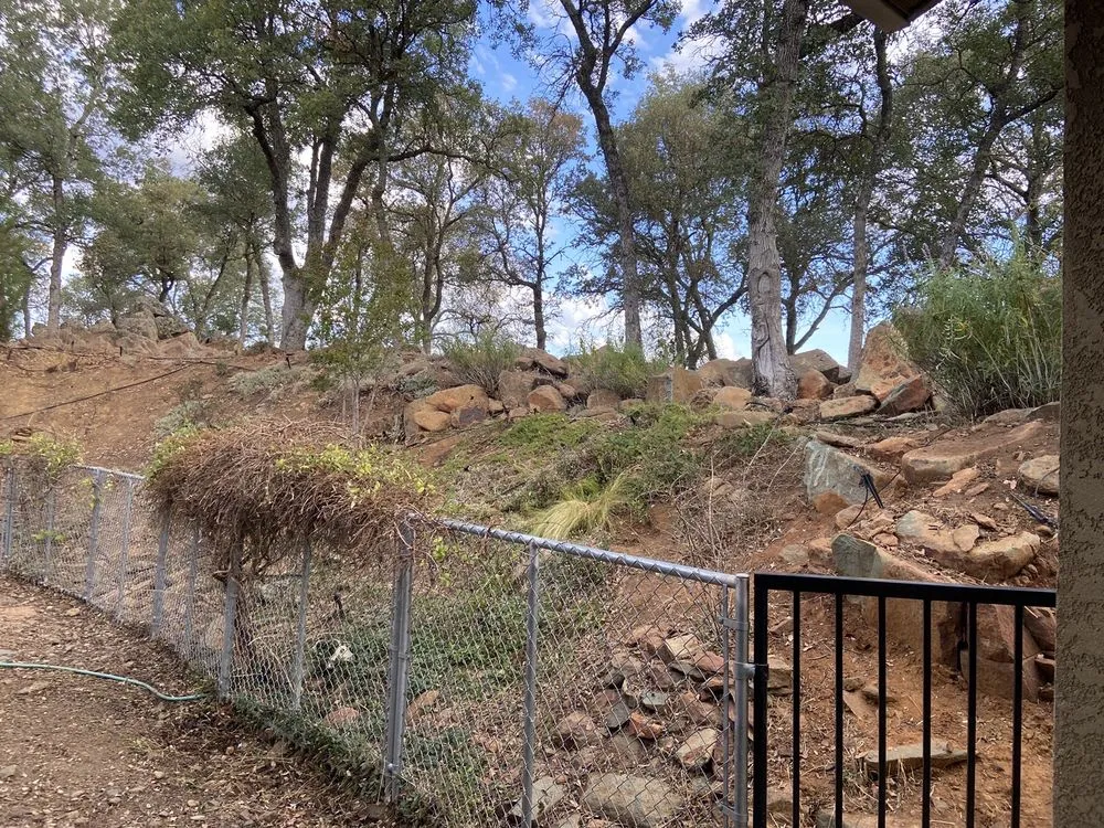 Top-rated lawn care service in Ione, CA by A&J Outdoor Transformations