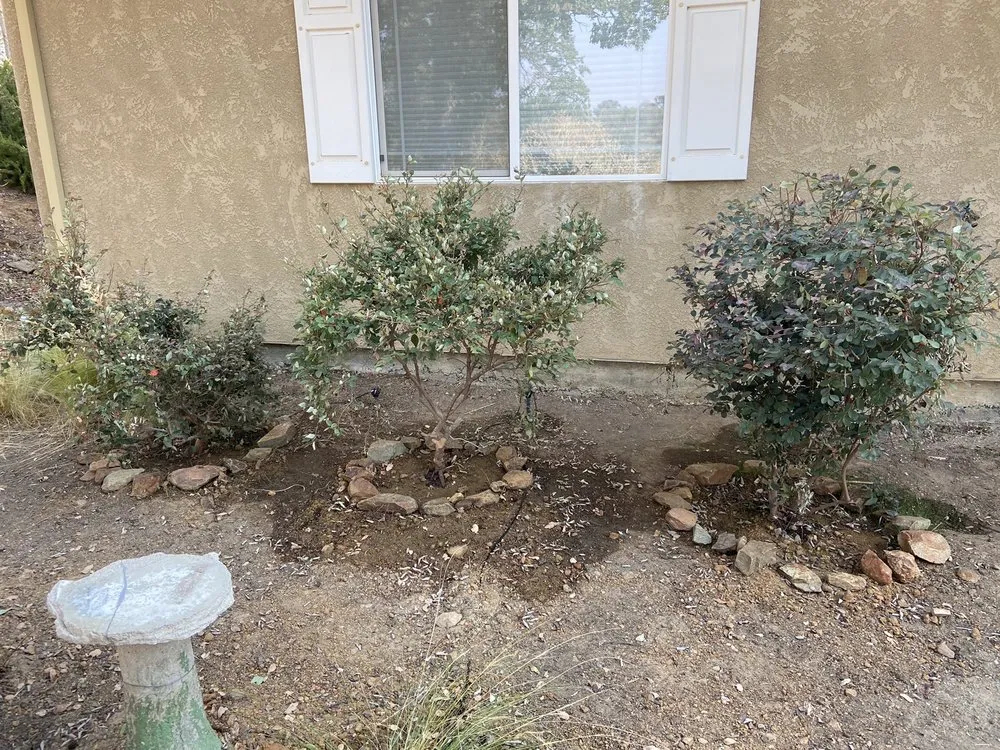 Trusted lawn care service for homes across Ione, CA - A&J Outdoor Transformations