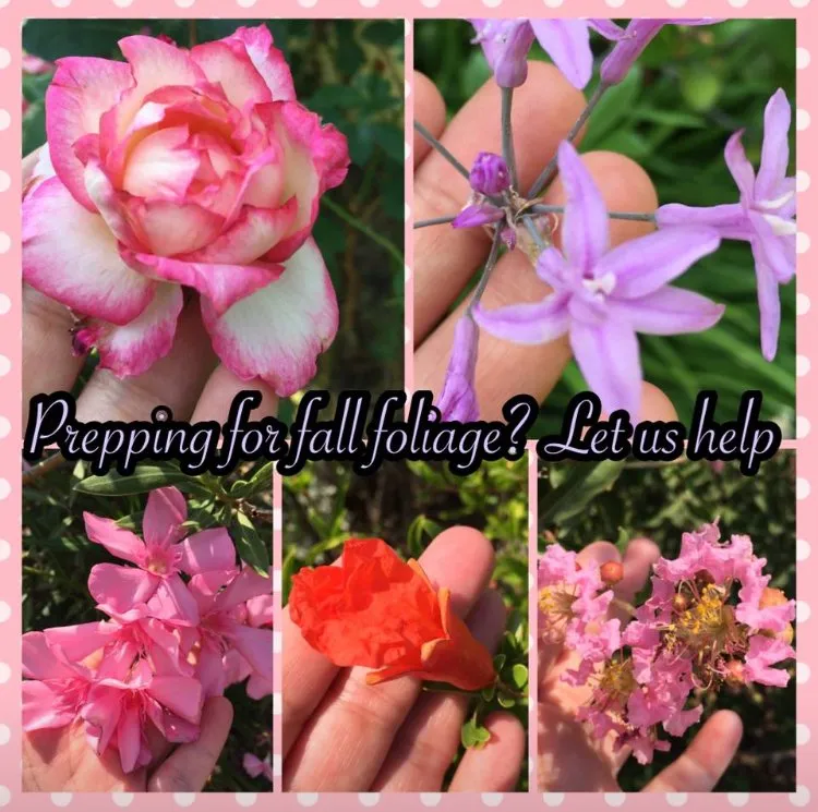 Top-rated garden landscaping in Ione, CA - A&J Outdoor Transformations