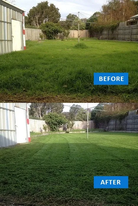 Trusted lawn mowing service experts serving Opa-locka, FL - AJ Professional Multi-Services