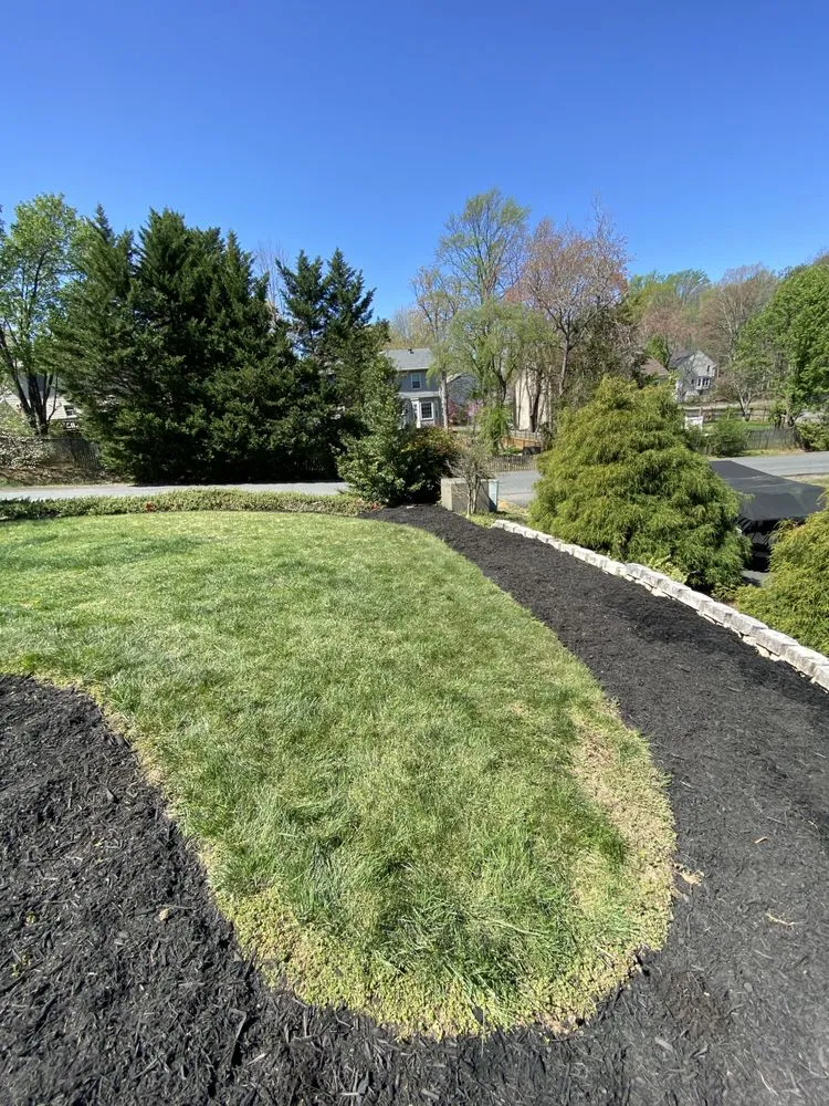 Top-rated yard cleanup service for year-round maintenance across Stafford, VA - A&J Property Care